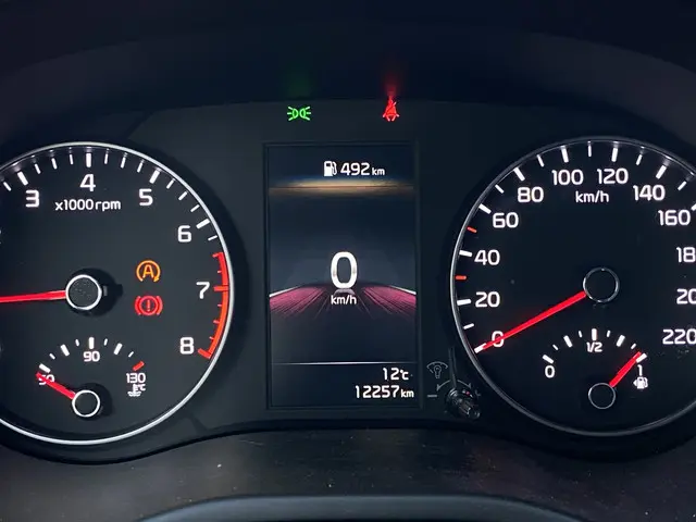 Kia Picanto 1.0 DPi DynamicLine 2024 Benzine 21