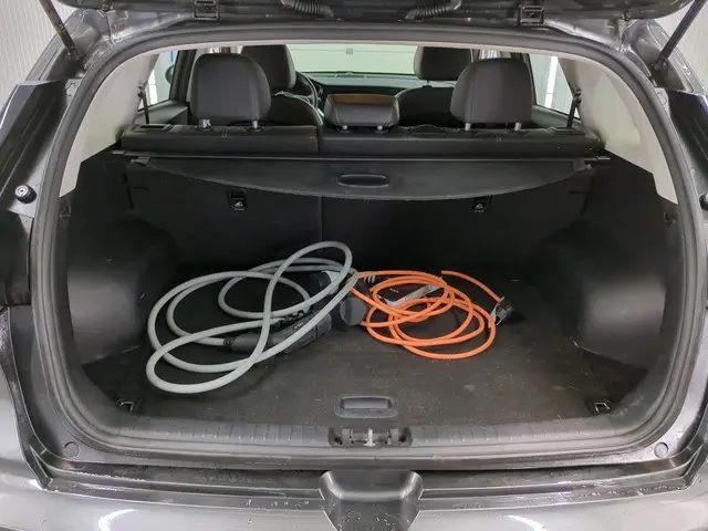 Kia e-Niro Aut. DynamicEdition 64kWh 2021 Elektrisch 9