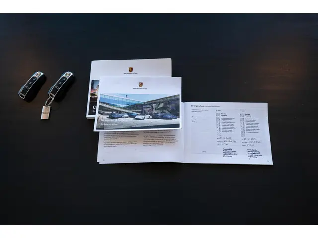 Porsche Cayenne E-Hybrid 2021 Hybride Benzine 24
