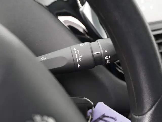 Peugeot 208 1.2 PureTech Blue Lion 2016 Benzine 19