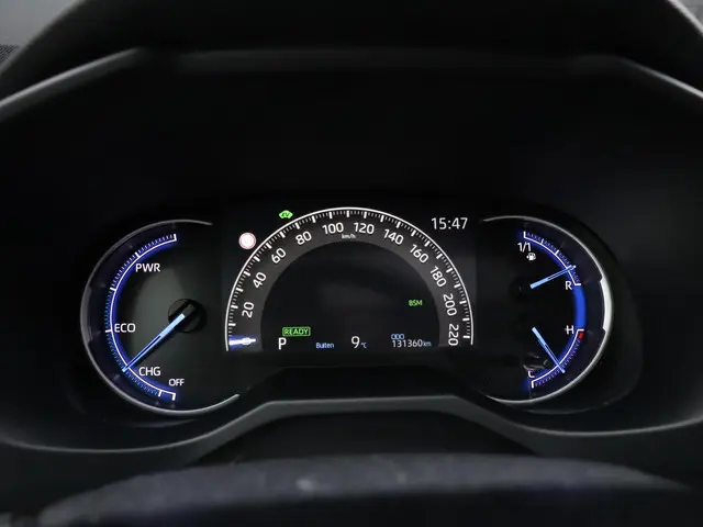 Toyota RAV4 2.5 Hybrid Bi-Tone 2020 Hybride Benzine 5