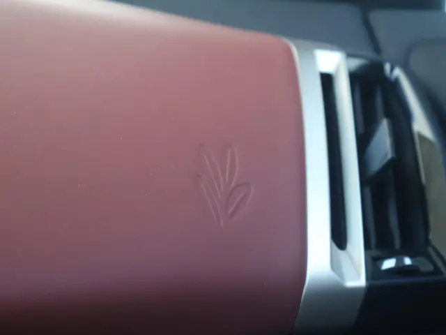 BMW iX xDrive50 High Executive 112 kWh 2022 Elektrisch 35