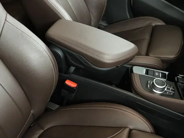 BMW X2 xDrive25e 2021 Hybride Benzine 67