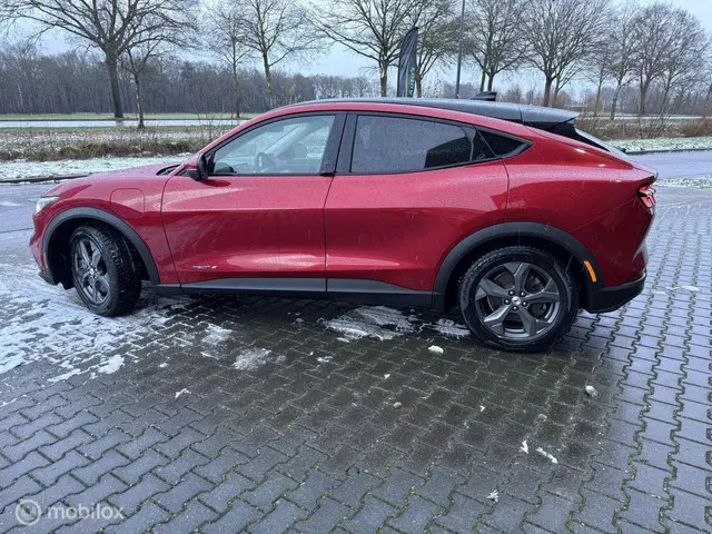 Ford Mustang Mach-E RWD 75 kWh 2021 Elektrisch 3