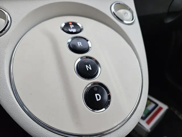 Fiat 500e 24kwh LEER CC PDC AUTOMAAT 2014 Elektrisch 21