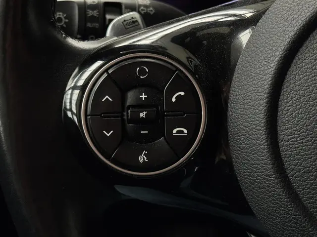 Kia e-Soul (financial) lease mij v.a. 275 pm 2019 Elektrisch 7