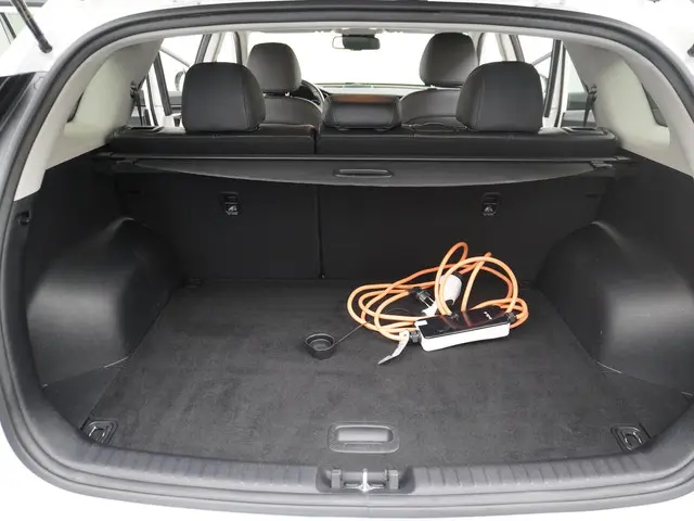 Kia e-Niro Edition 64 kWh 2021 Elektrisch 11