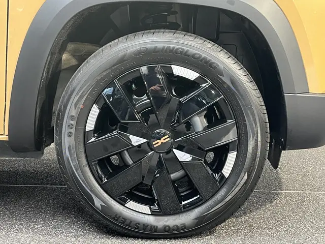Dacia Spring Extreme 65 26.8 kWh 2025 Elektrisch 30