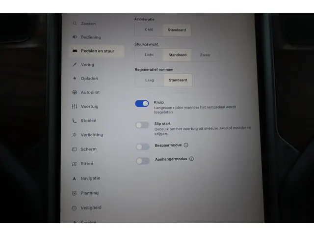 Tesla Model X 100D 6p. 2018 Elektrisch 29