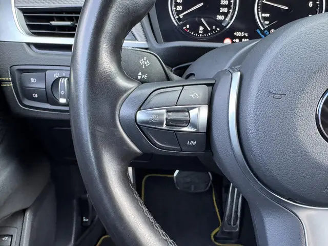 BMW X2 SDRIVE20I BUSINESS EDITION 2021 Benzine 20