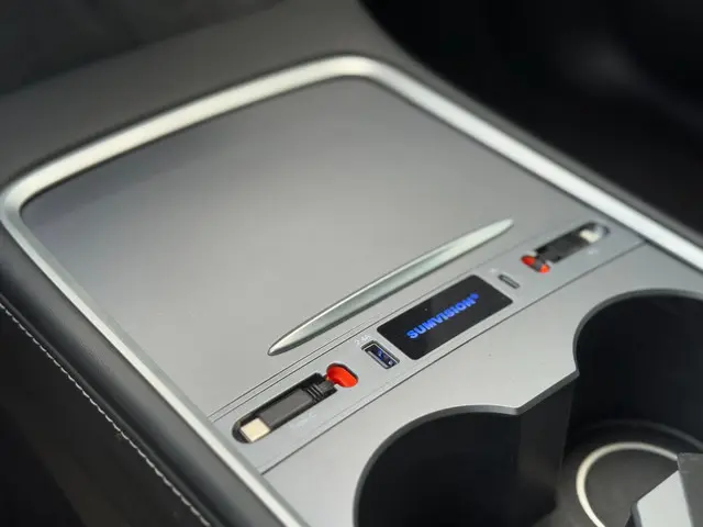 Tesla Model Y RWD 58 kWh FSD 2023 Elektrisch 18
