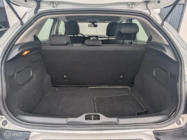 Citroën C4 Cactus 1.2 PureTech Business 2015 Benzine 9
