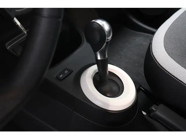 Renault Twingo Z.E. R80 Collection 2021 Elektrisch 26