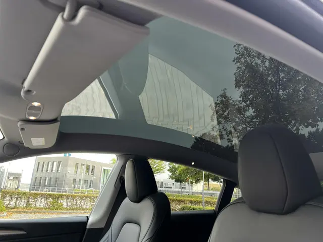 Tesla Model Y Performance AWD 75 kWh 2022 Elektrisch 4