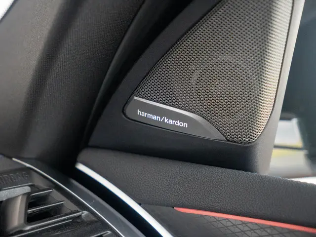 BMW X4 xDrive20i 2026 Benzine 29