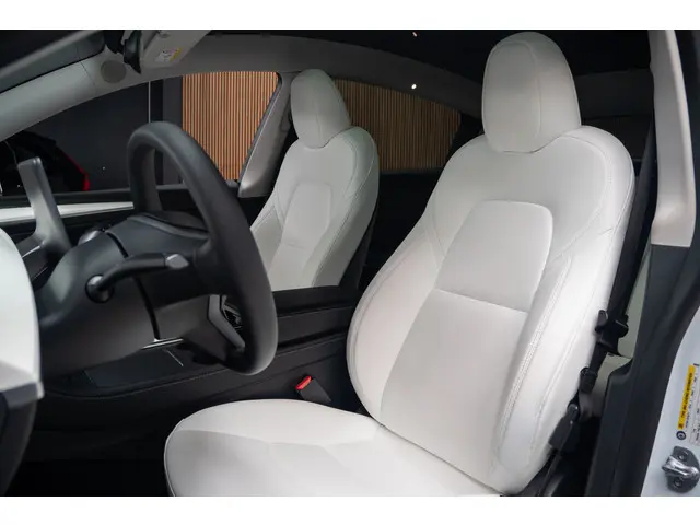 Tesla Model Y Long Range AWD 75 kWh 2023 Elektrisch 10