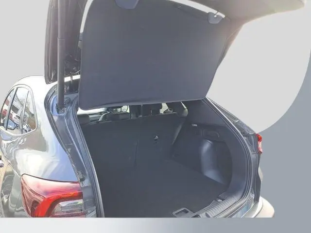 Ford Kuga 2.5 FHEV Active X 2025 Hybride Benzine 9