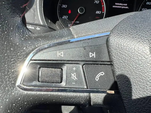 SEAT Ibiza 1.0 EcoTSI FR Connect NL AUTO 2016 Benzine 12