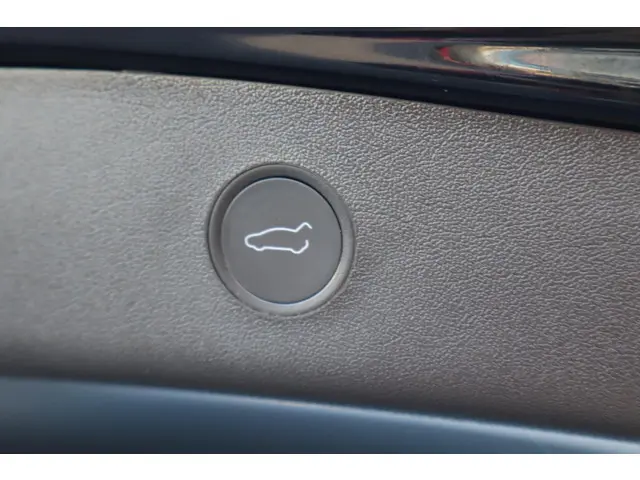 Tesla Model 3 Long Range AWD 75 kWh 2021 Elektrisch 20