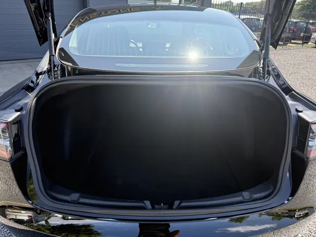 Tesla Model 3 Long Range AWD 75 kWh 2019 Elektrisch 20
