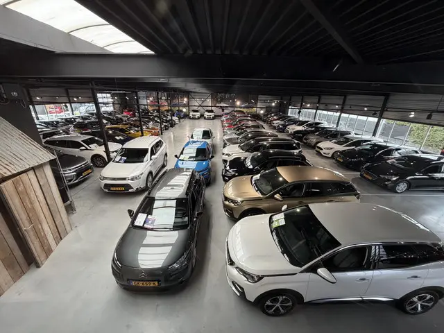 Tesla Model 3 Long Range AWD 75 kWh 2021 Elektrisch 52