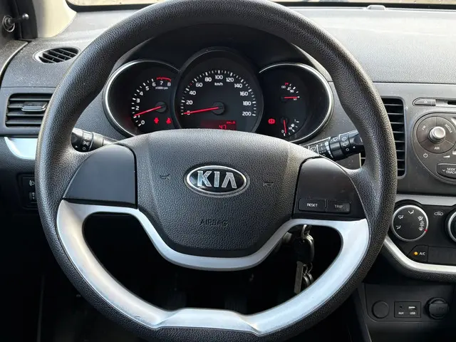 Kia Picanto 1.0 CVVT EconomyPlusLine 2015 Benzine 10