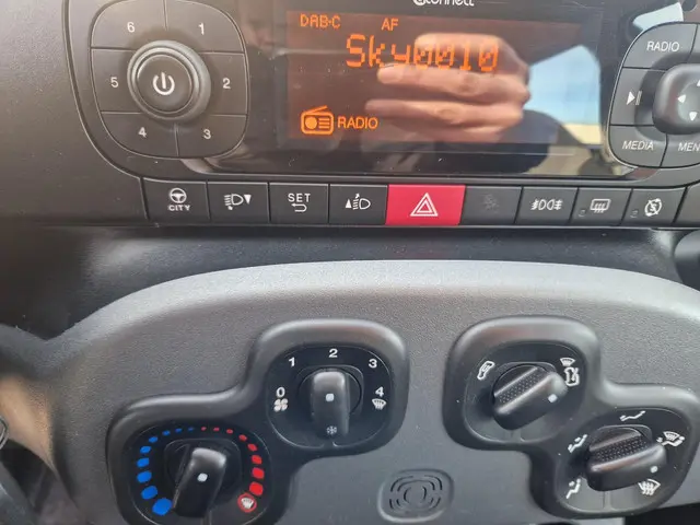 Fiat Panda 1.2 Lounge 2020 Benzine 21