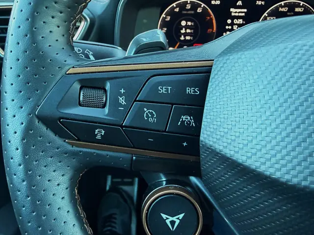 CUPRA Formentor 2.0 TSI 4DRIVE 2021 Benzine 12