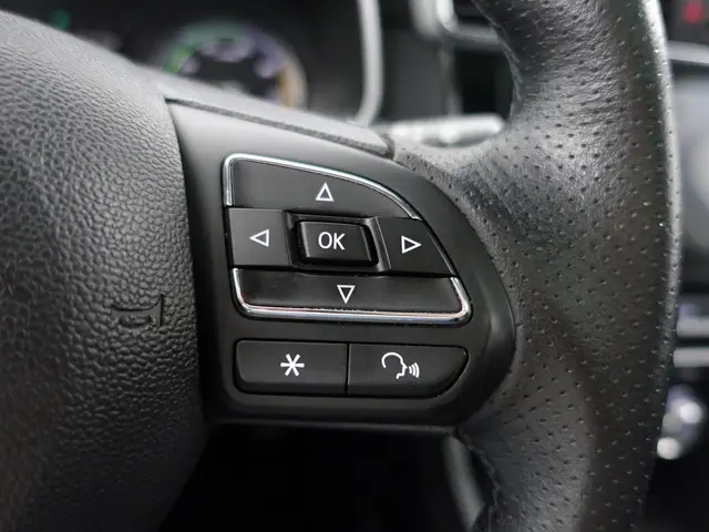 MG ZS-EV Luxury 45 kWh Aut- 2020 Elektrisch 13