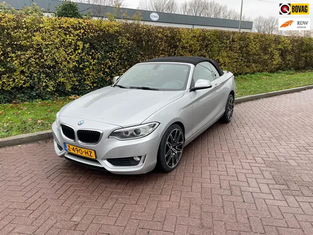 BMW 2 Serie Cabrio 220i 2016 Benzine