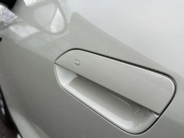 BYD ATTO 2 Boost 45 kWh 2024 Elektrisch 35