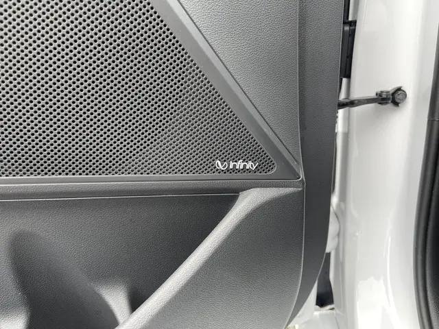 Hyundai IONIQ Premium EV 2019 Elektrisch 23
