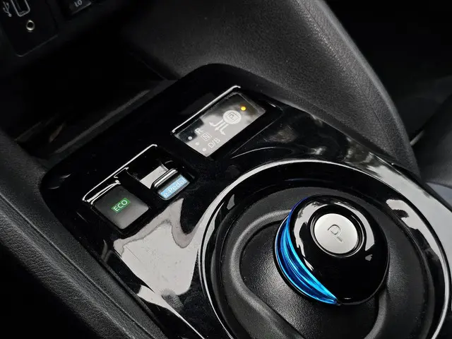 Nissan Leaf e+ Tekna 62 kWh 2020 Elektrisch 18