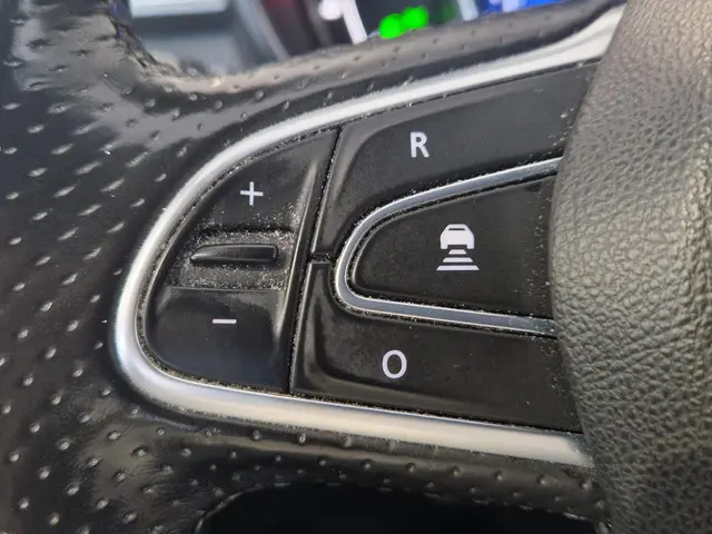 Renault Kadjar 1.3 TCe Black Edition 2021 Benzine 18