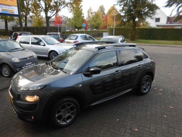 Citroën C4 Cactus 1.2 e-VTi Shine 2014 Benzine 25