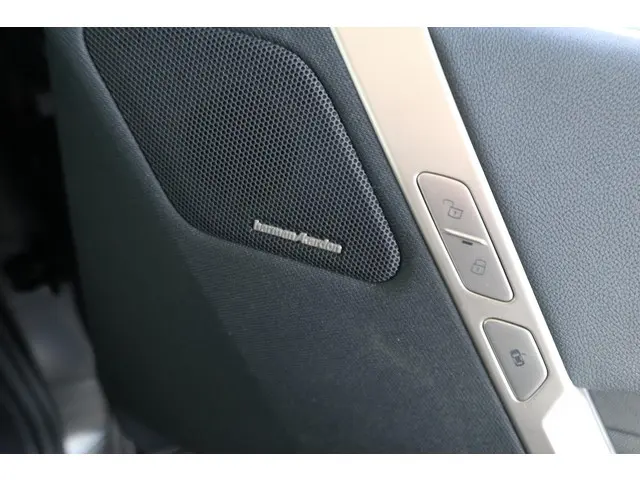 BMW iX xDrive40 2024 Elektrisch 13