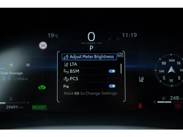 Toyota RAV4 2.5 PHEV AWD Bi-Tone 2023 Hybride Benzine 48