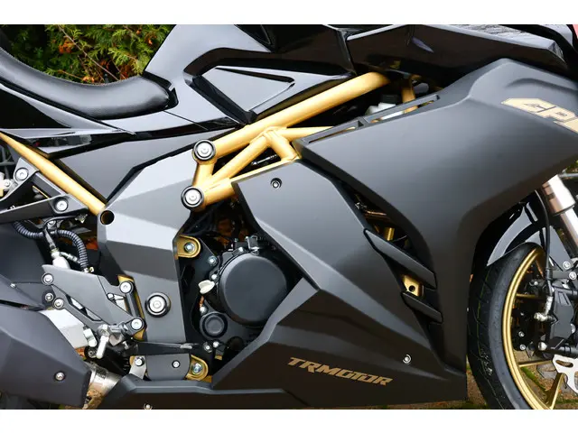 Yamaha YZF R125 TRMOTOR 125 GP-ONE [A1 A2] 2025 Benzine 17