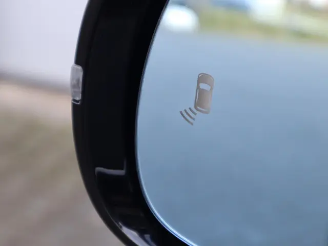 Smart #1 Pro+ 66 kWh 2024 Elektrisch 10