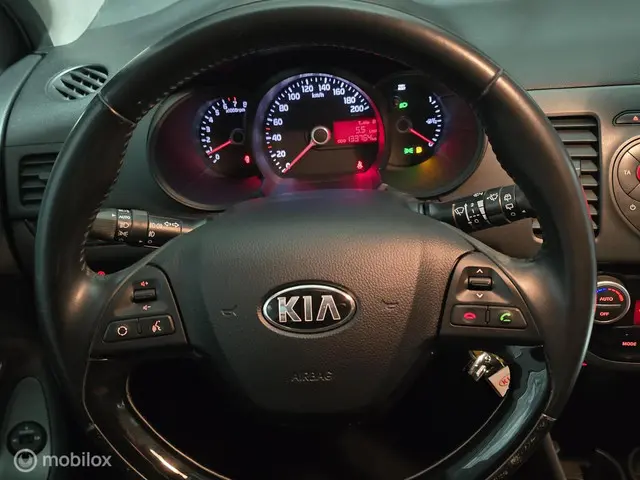 Kia Picanto 1.0 CVVT X-treme✅️Led✅️Airco✅️Apk✅️ 2015 Benzine 16