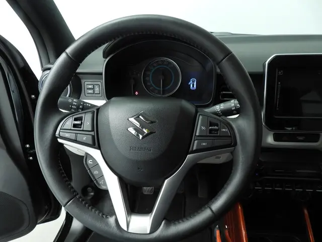 Suzuki Ignis 1.2 Smart Hybrid Stijl 2019 Benzine 12