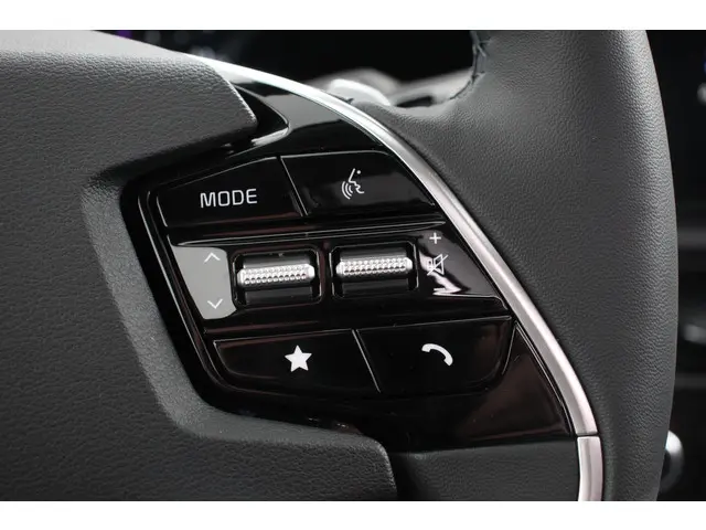 Kia Niro EV DynamicPlusLine 64.8 kWh 2024 Elektrisch 19