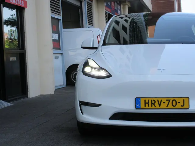 Tesla Model Y Long Range AWD 75 kWh 2022 Elektrisch 8