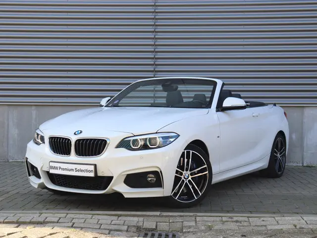 BMW 2 Serie Cabrio 220i 2019 Benzine 34