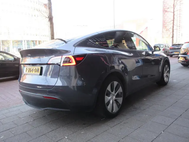 Tesla Model Y RWD 58 kWh 2023 Elektrisch 3