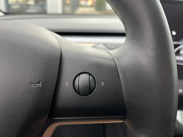 Tesla Model 3 Performance AWD 75 kWh 2019 Elektrisch 35