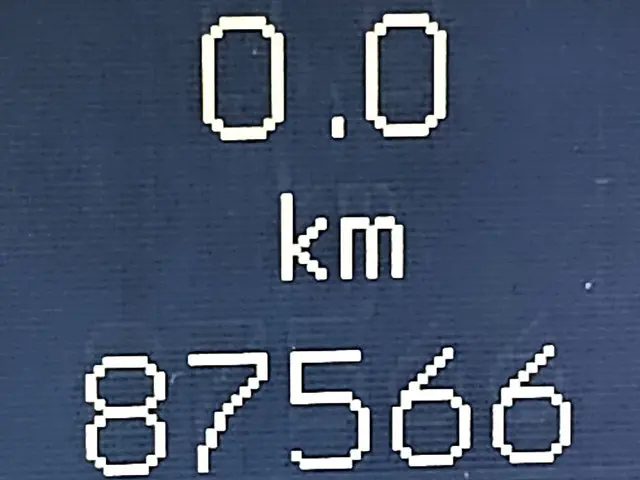 Mercedes-Benz Sprinter 316 2019 Diesel 9