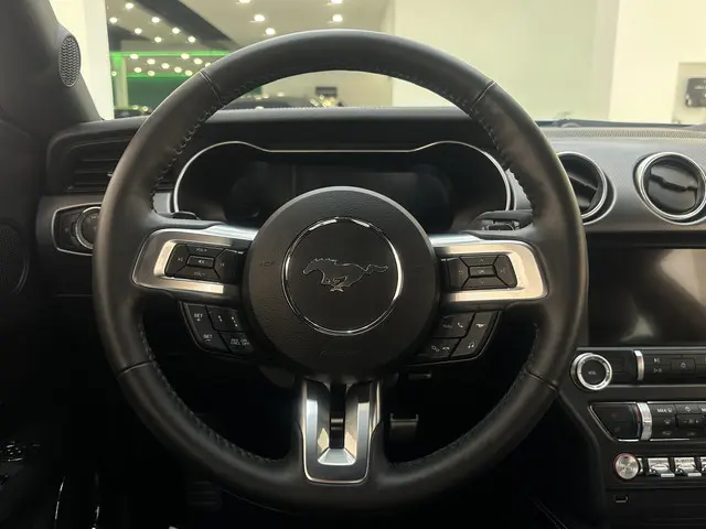 Ford Mustang 5.0 V8 GT Performance 2024 Benzine 19