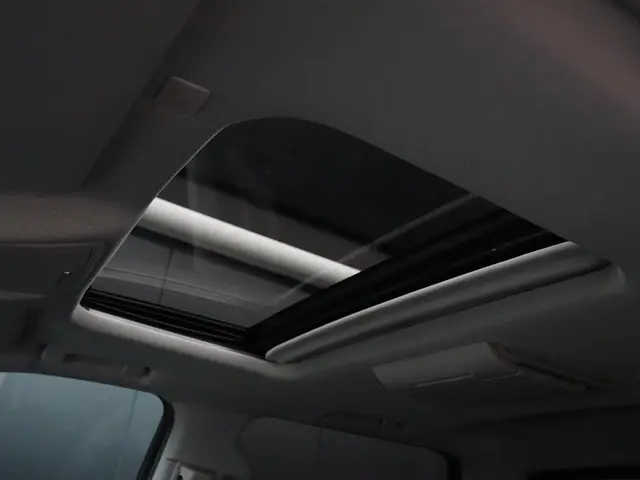 GMC Sierra DENALI 6.2 L V8 2019 LPG/Gas 12