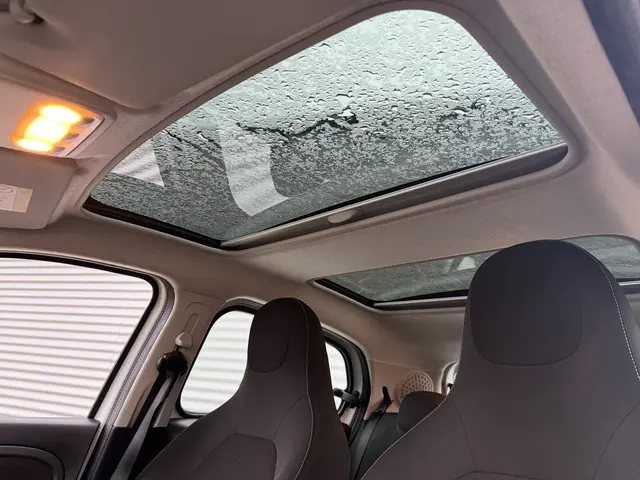 Smart Forfour EQ Comfort 18 kWh 2019 Elektrisch 8